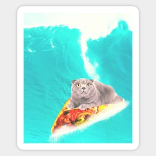 Kitty Cat Surfing Taco Sticker